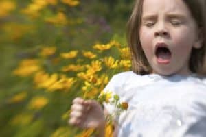 Young girl sneezing with hay fever allergy to a bunch of flowers