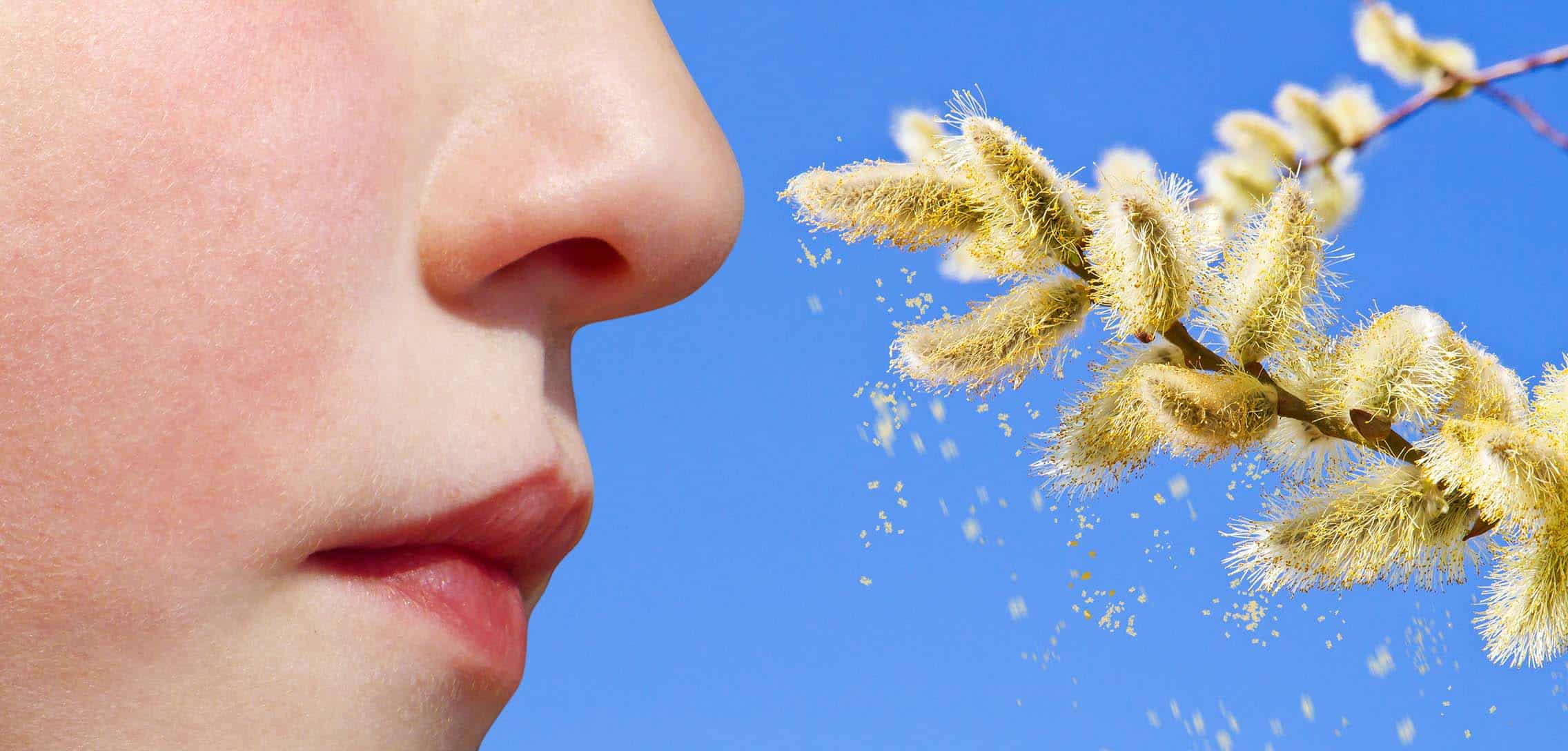Воздушная пыльца. Поллиноз. Аллергия поллиноз. Что такое дебют поллиноза. Весенний поллиноз.