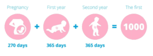 First 1,000 days of your life