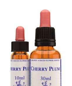 Cherry Plum Bach Flower Remedy