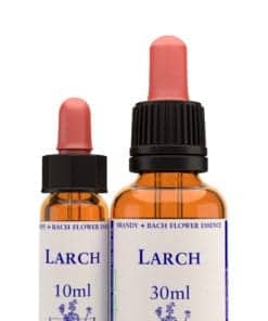 Larch Bach Flower Remedy