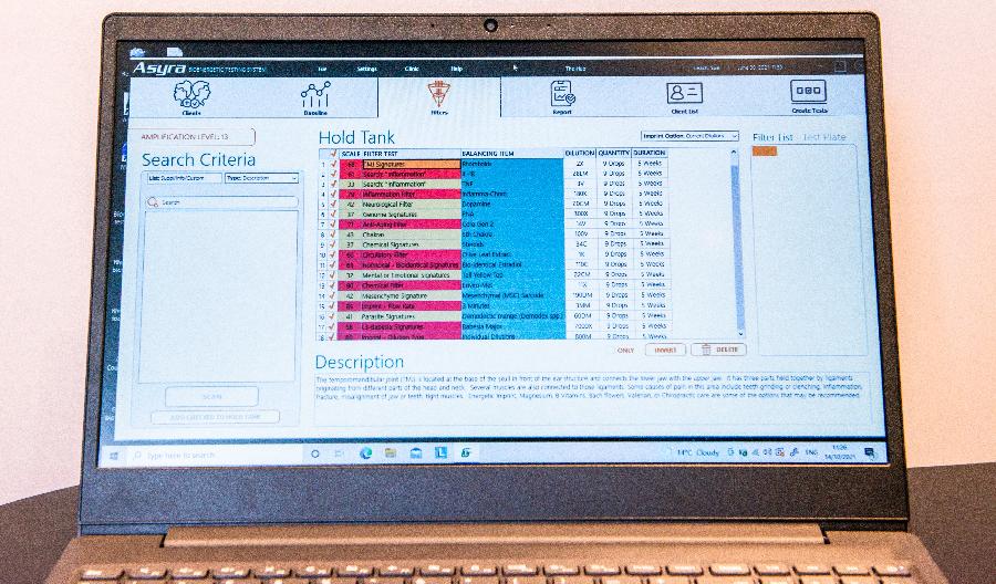 Bioresonance scan