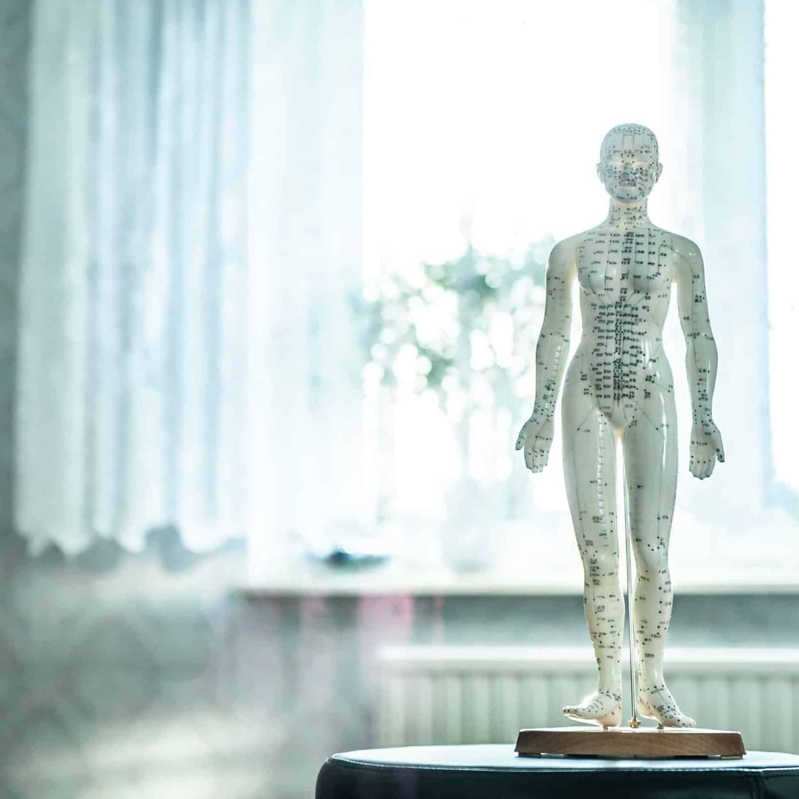 Canva - Acupuncture Statue in a Clinic Canva - Acupuncture Statue in a Clinic